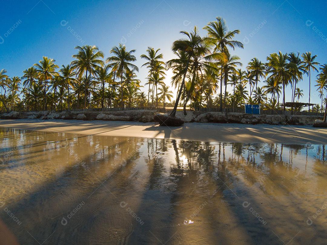 Paisagem Tropical Com Praia Com Coqueiros Ao Pôr do Sol Imagem JPG