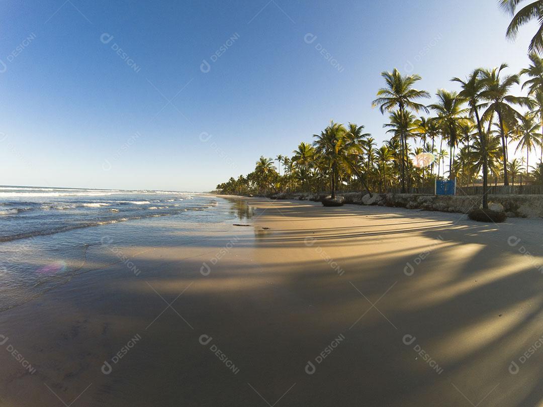 Paisagem Tropical Com Praia Com Coqueiros Ao Pôr do Sol Imagem JPG
