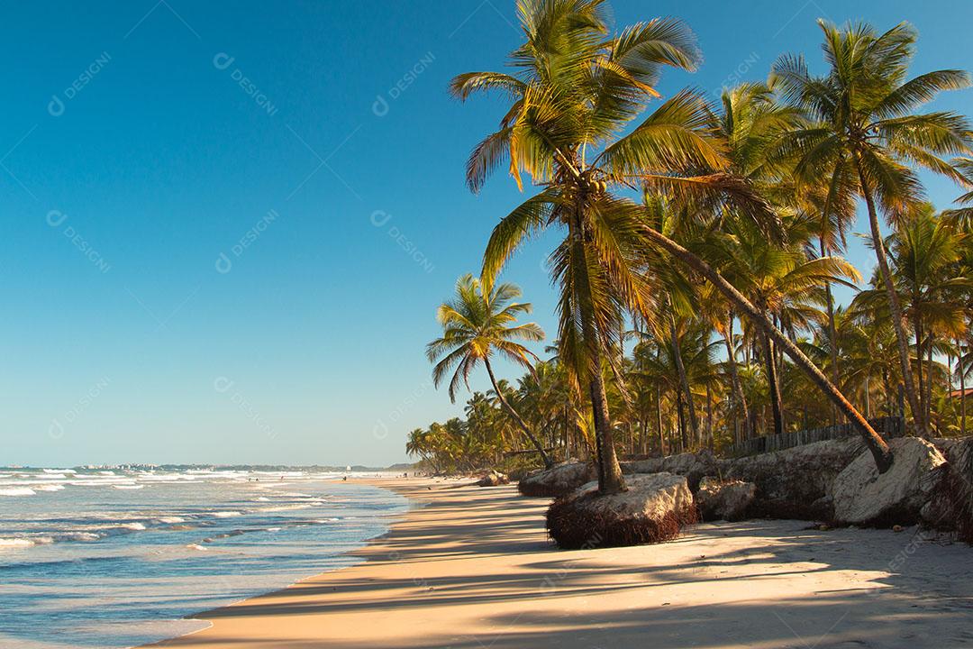 Paisagem Tropical Com Praia Com Coqueiros Ao Pôr do Sol Imagem JPG