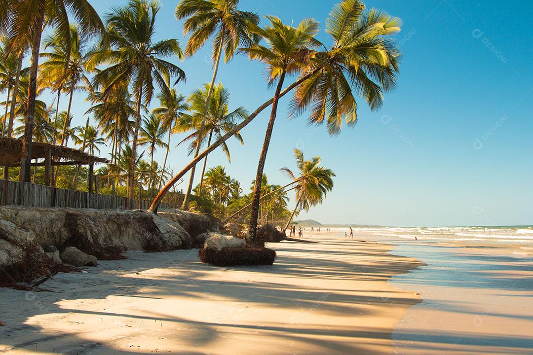 Paisagem Tropical Com Praia Com Coqueiros Ao Pôr do Sol Imagem JPG