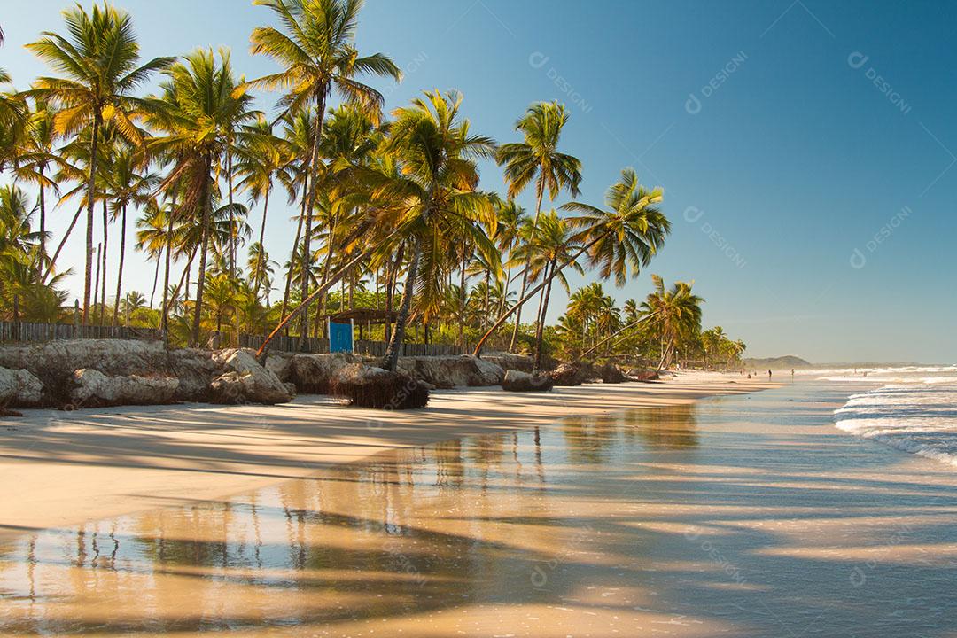 Paisagem Tropical Com Praia Com Coqueiros Ao Pôr do Sol Imagem JPG