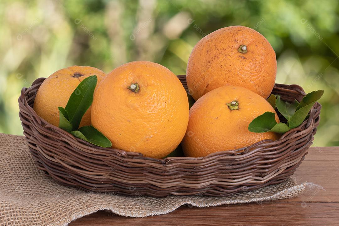 Foto Laranjas Inteiras Maduras e Pedaços