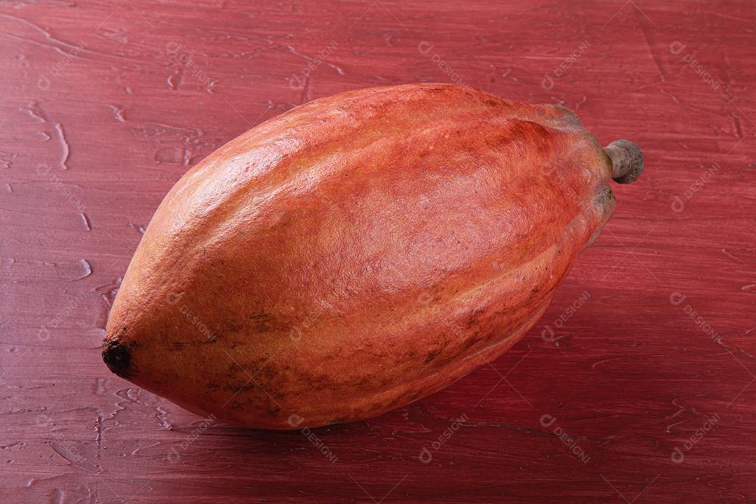 Uma Árvore de Cacau Com Vagens de Cacau na Plantação de Cacau Imagem JPG