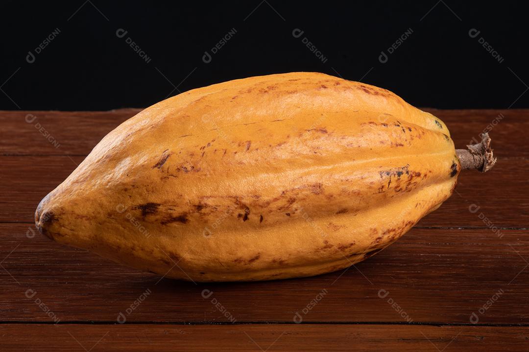 Fruto de Cacau Isolado na Mesa Imagem JPG