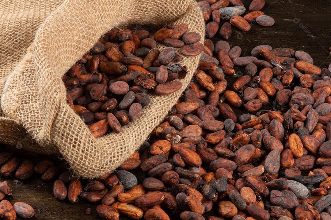 Grãos de Cacau Crus Aromáticos Empilhados Imagem JPG