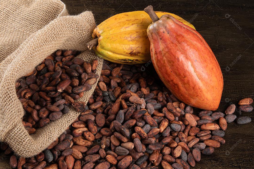 Grãos de Cacau Crus Aromáticos Empilhados Imagem JPG