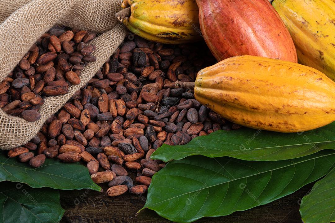 Grãos de Cacau Crus Aromáticos Empilhados Imagem JPG