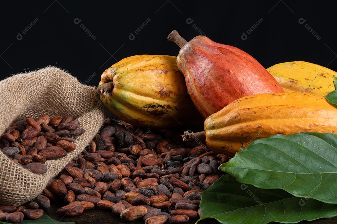 Grãos de Cacau Crus Aromáticos Empilhados Imagem JPG