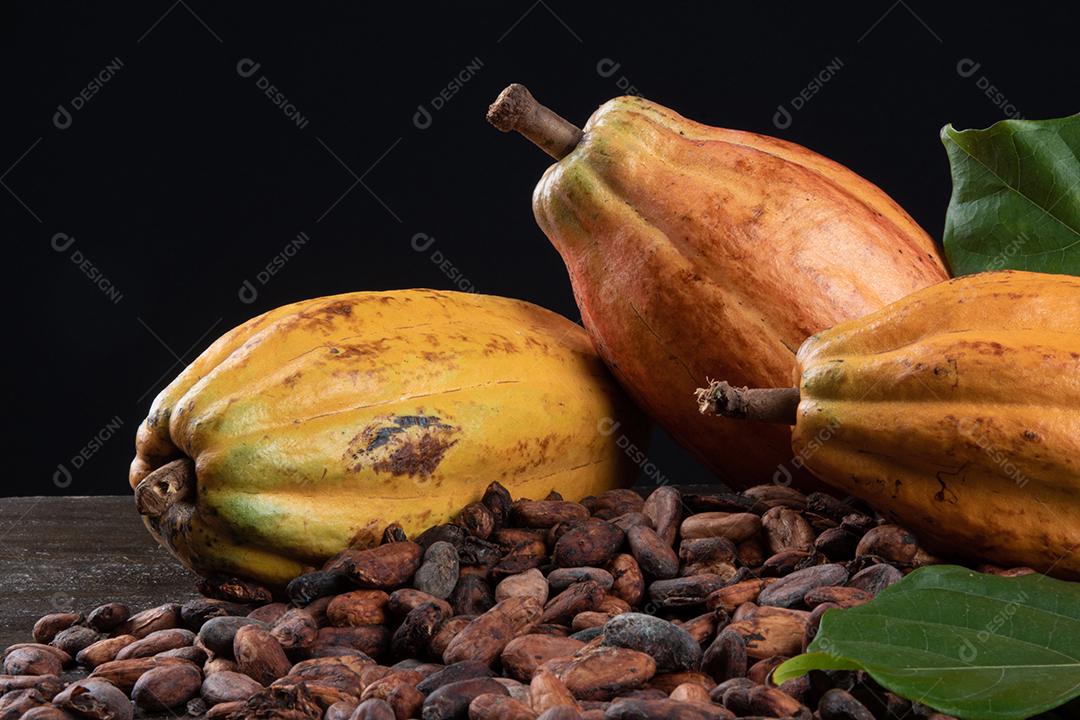 Grãos de Cacau Crus Aromáticos Empilhados Imagem JPG