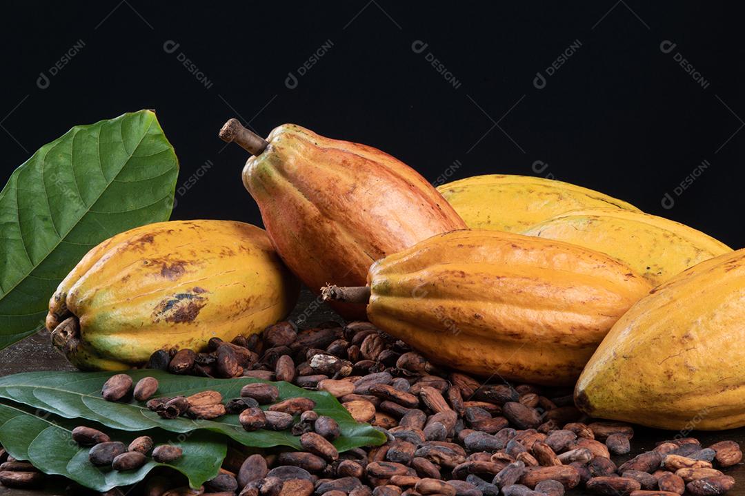 Grãos de Cacau Crus Aromáticos Empilhados Imagem JPG