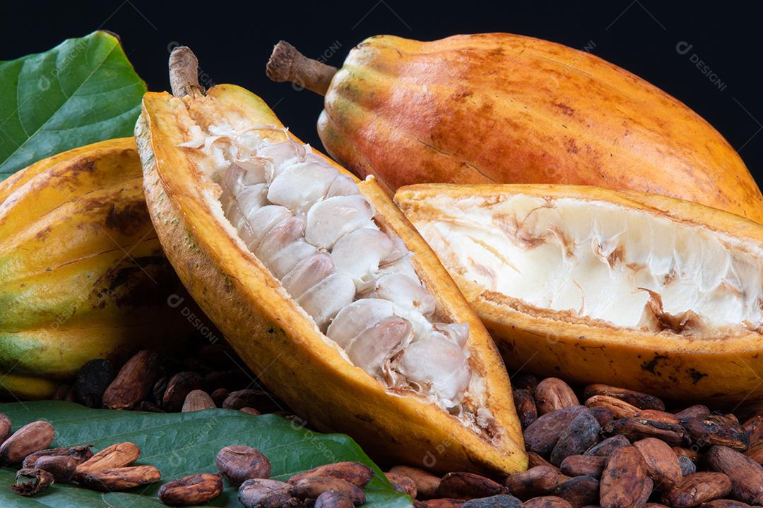 Grãos de Cacau Crus Aromáticos Empilhados Imagem JPG