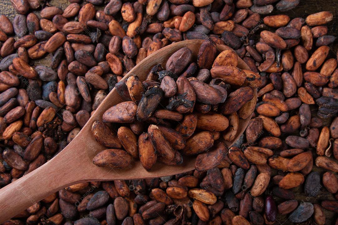 Fruto de Cacau Imagem JPG