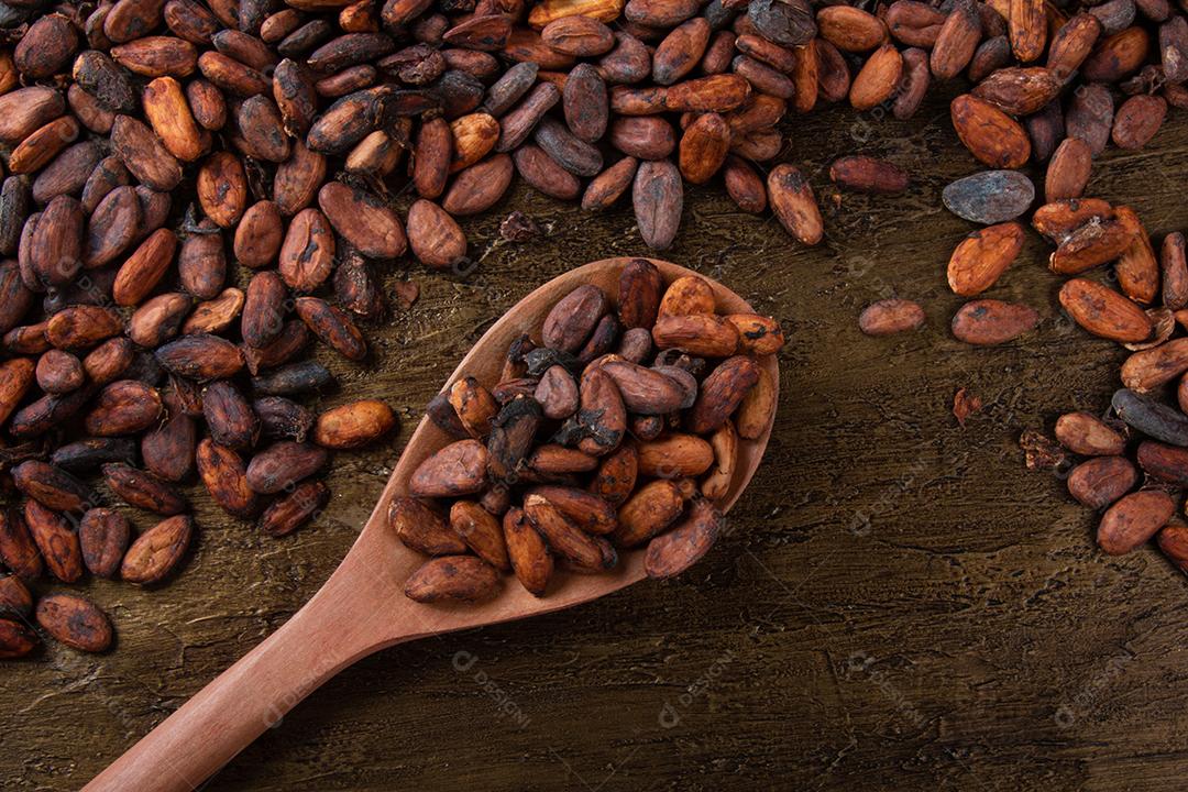Fruto de Cacau Imagem JPG