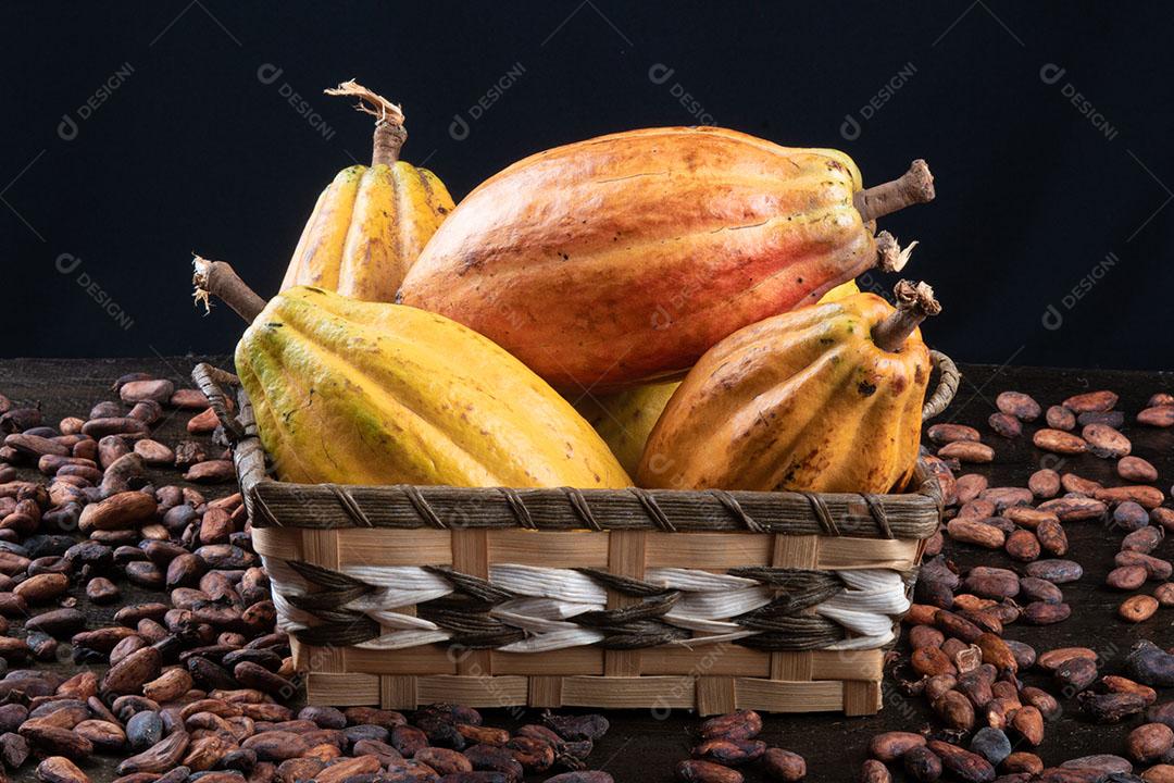Fruto de Cacau Imagem JPG