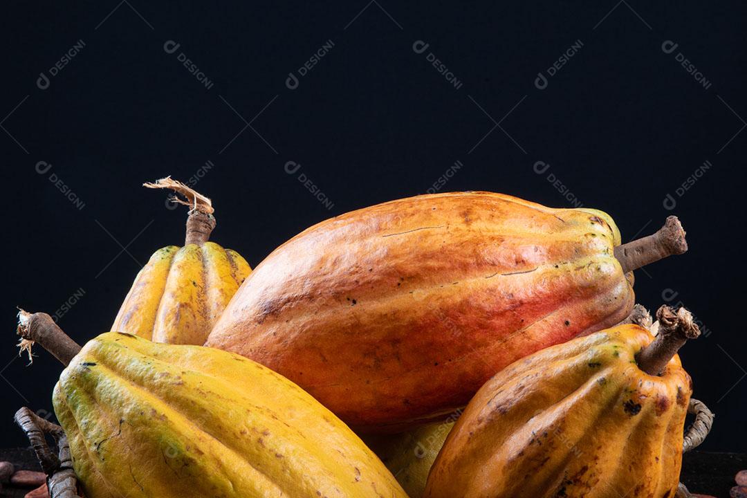 Grãos de Cacau Crus Aromáticos Empilhados Imagem JPG