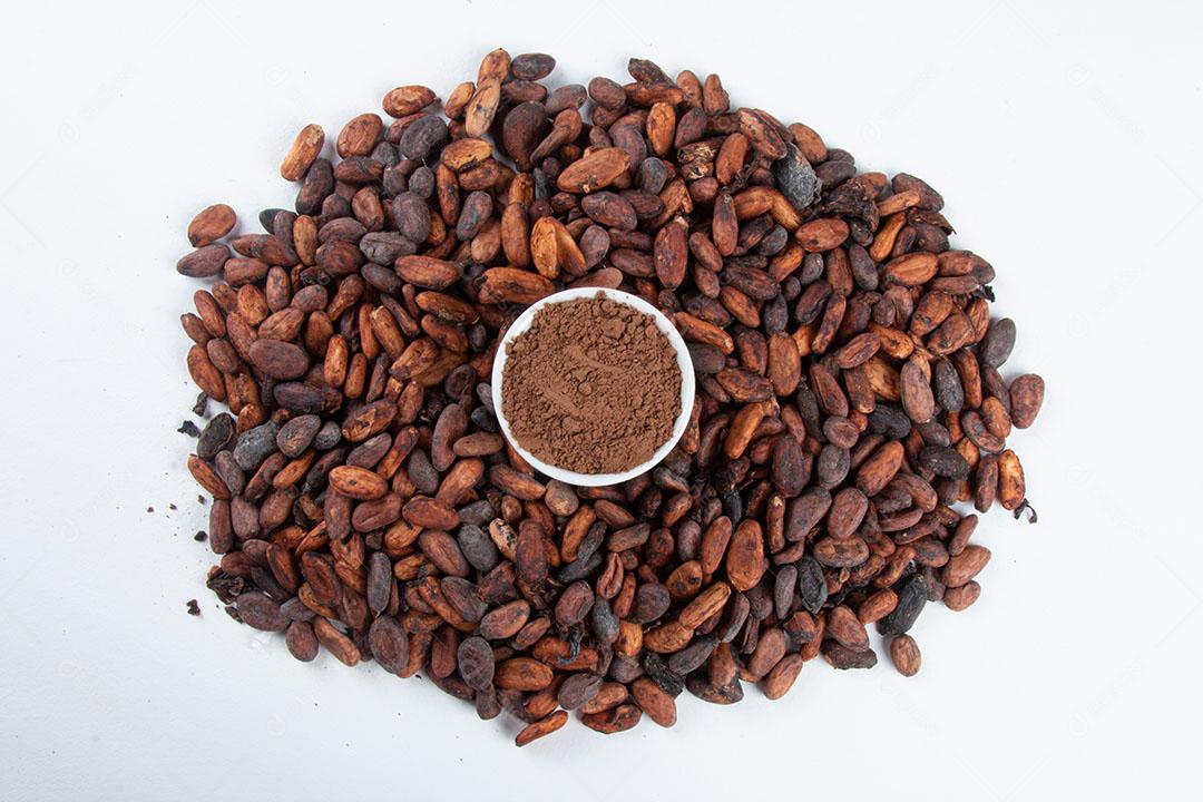 Cacau Em Pó Sobre Grãos de Cacau Crus Sobre Fundo Branco Imagem JPG