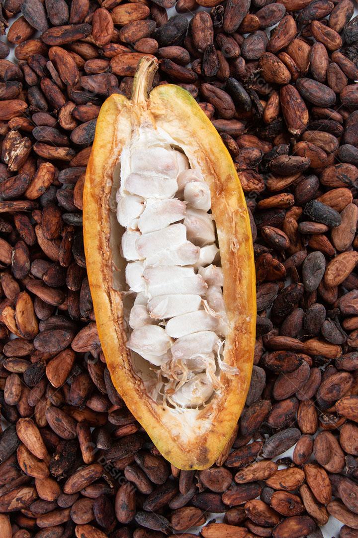 Frutas de Cacau Cortadas Com Grãos de Cacau Crus Em Um Fundo Branco Imagem JPG
