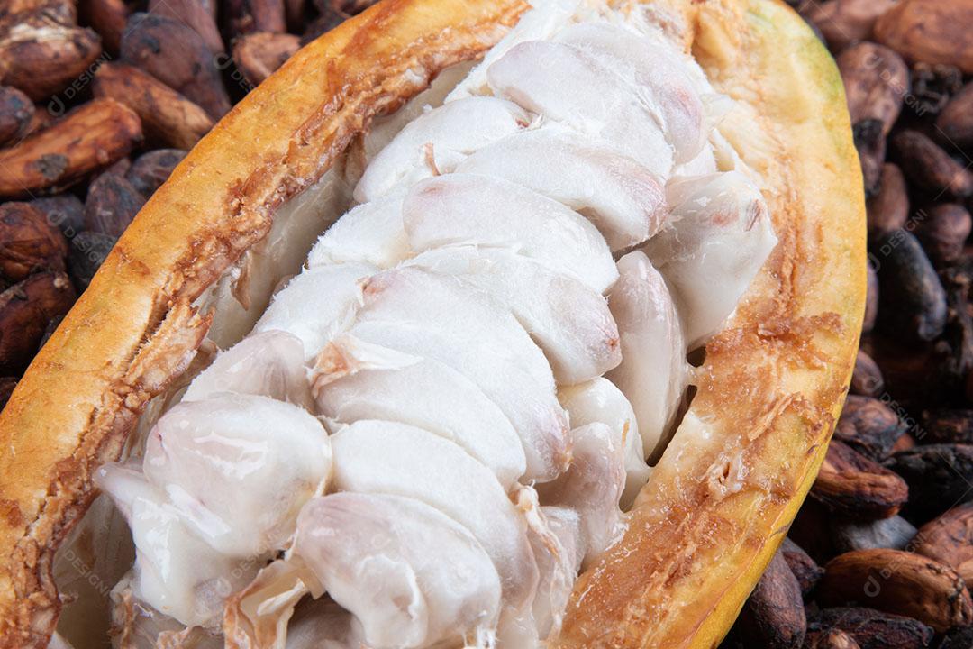 Frutas de Cacau Cortadas Com Vista Superior de Grãos de Cacau Crus Imagem JPG