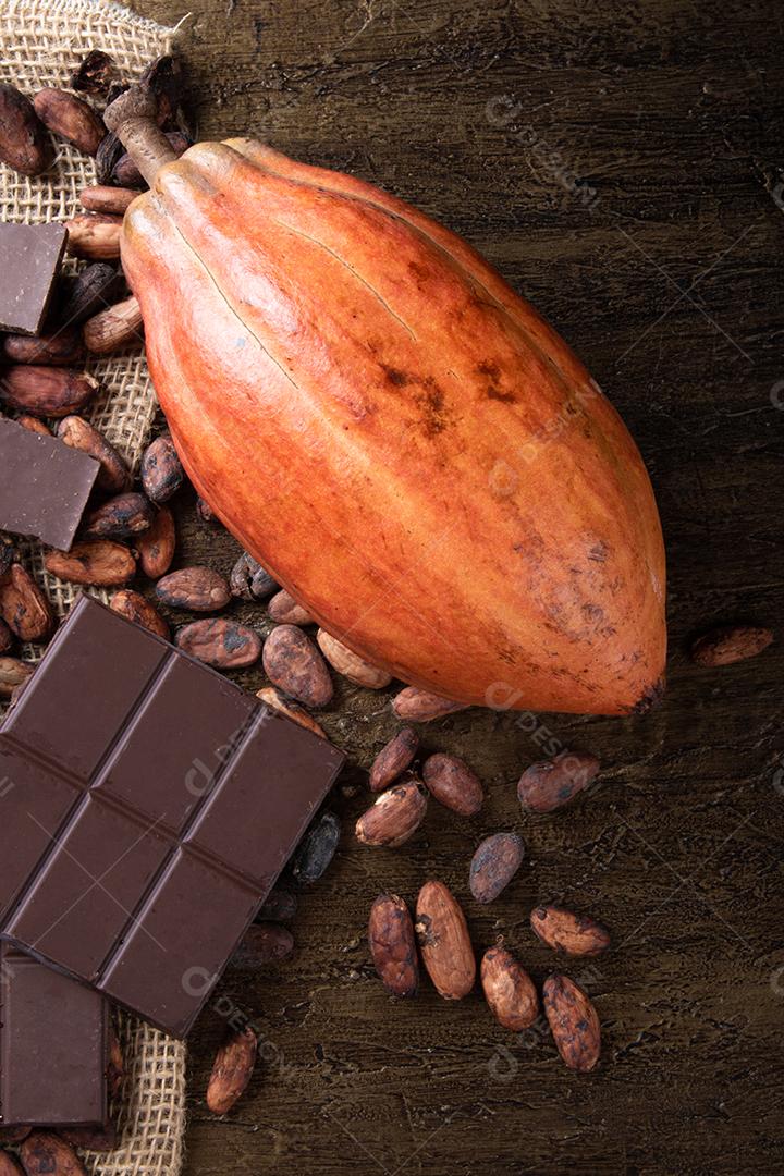 Foto Detalhe da Fruta do Cacau Pedaços de Chocolate e Cacau Pó Em Grãos de Cacau Cru