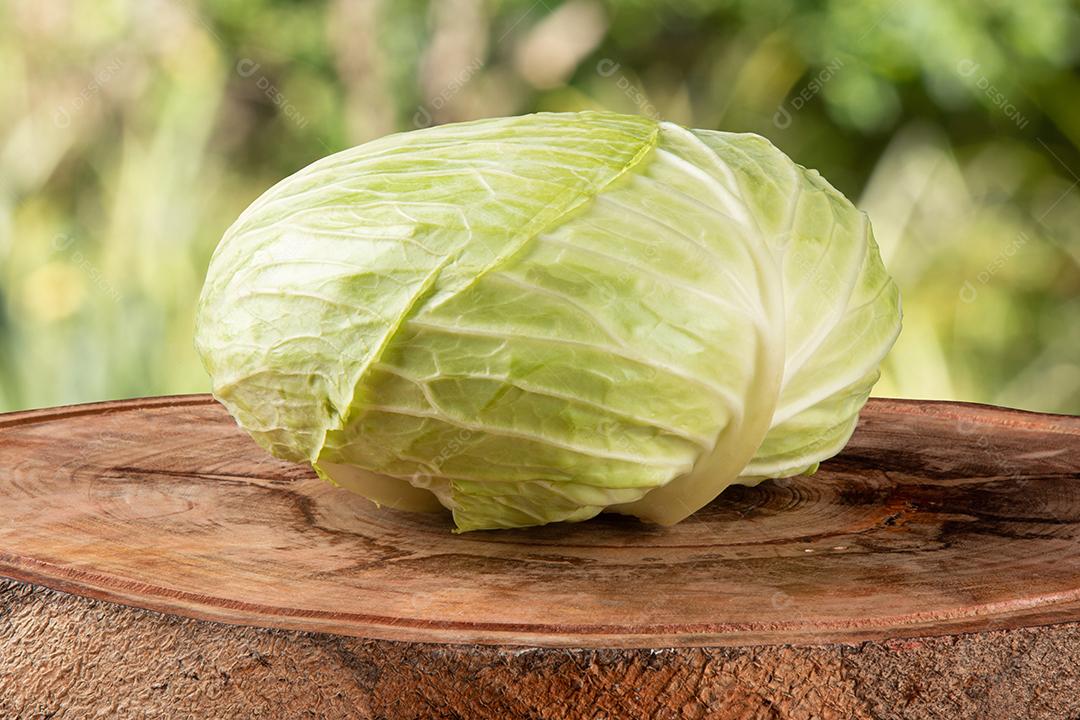 Repolho Fresco Isolado no Fundo Branco Imagem JPG