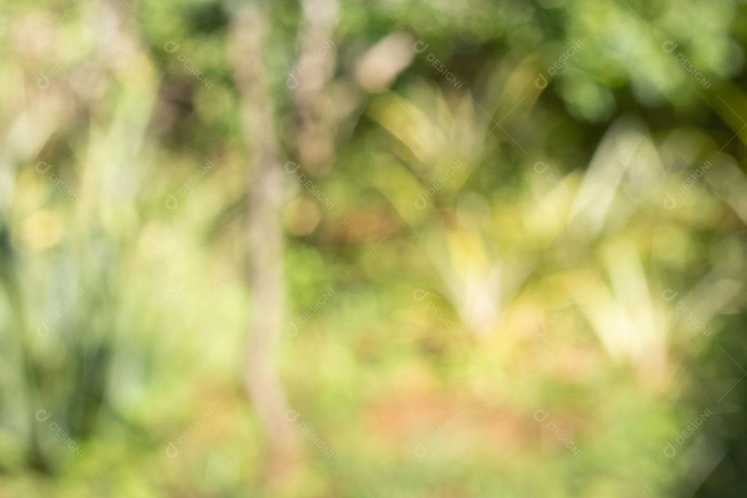 Foto Fundo de Natureza Verde Desfocado Ensolarado Com Efeito Bokeh Abstrato