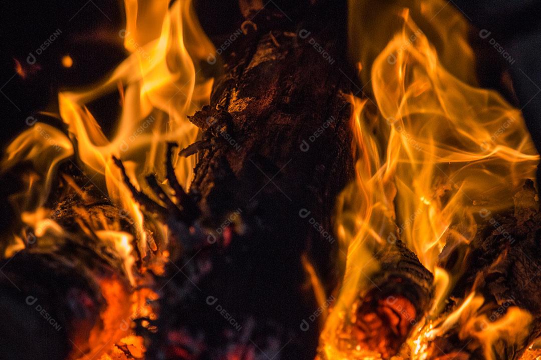 Fogueira Queimando Lenhas E Brasas Imagem JPG
