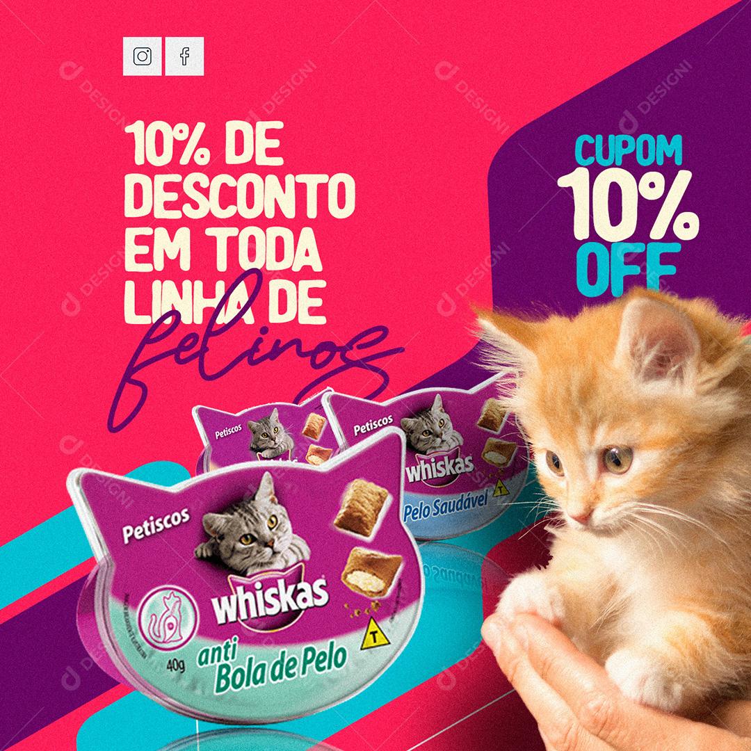 Social Media PetShop 10% De Desconto Em Toda Linha De Felinos PSD Editável