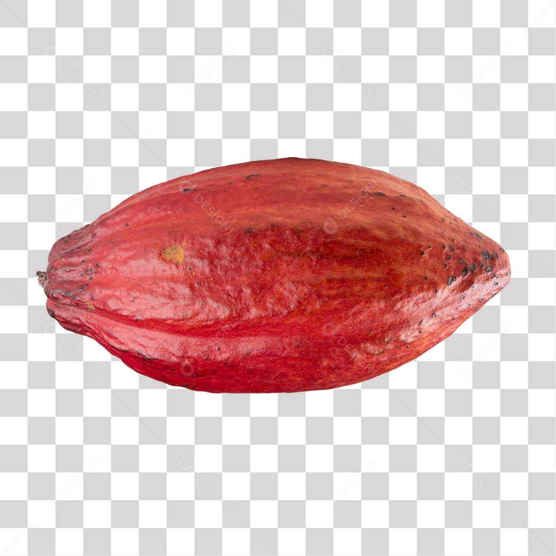 Fruta Cacau PNG Transparente Sem Fundo