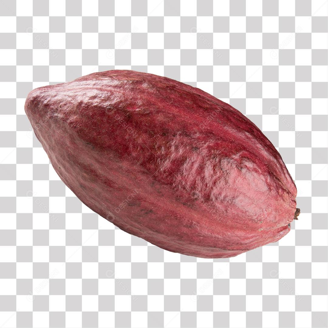 Fruta Cacau PNG Transparente Sem Fundo