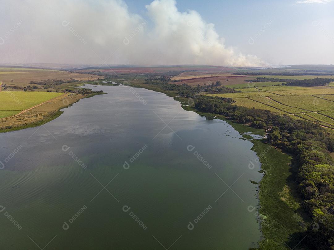 Lago floresta vista aerea Imagem JPG