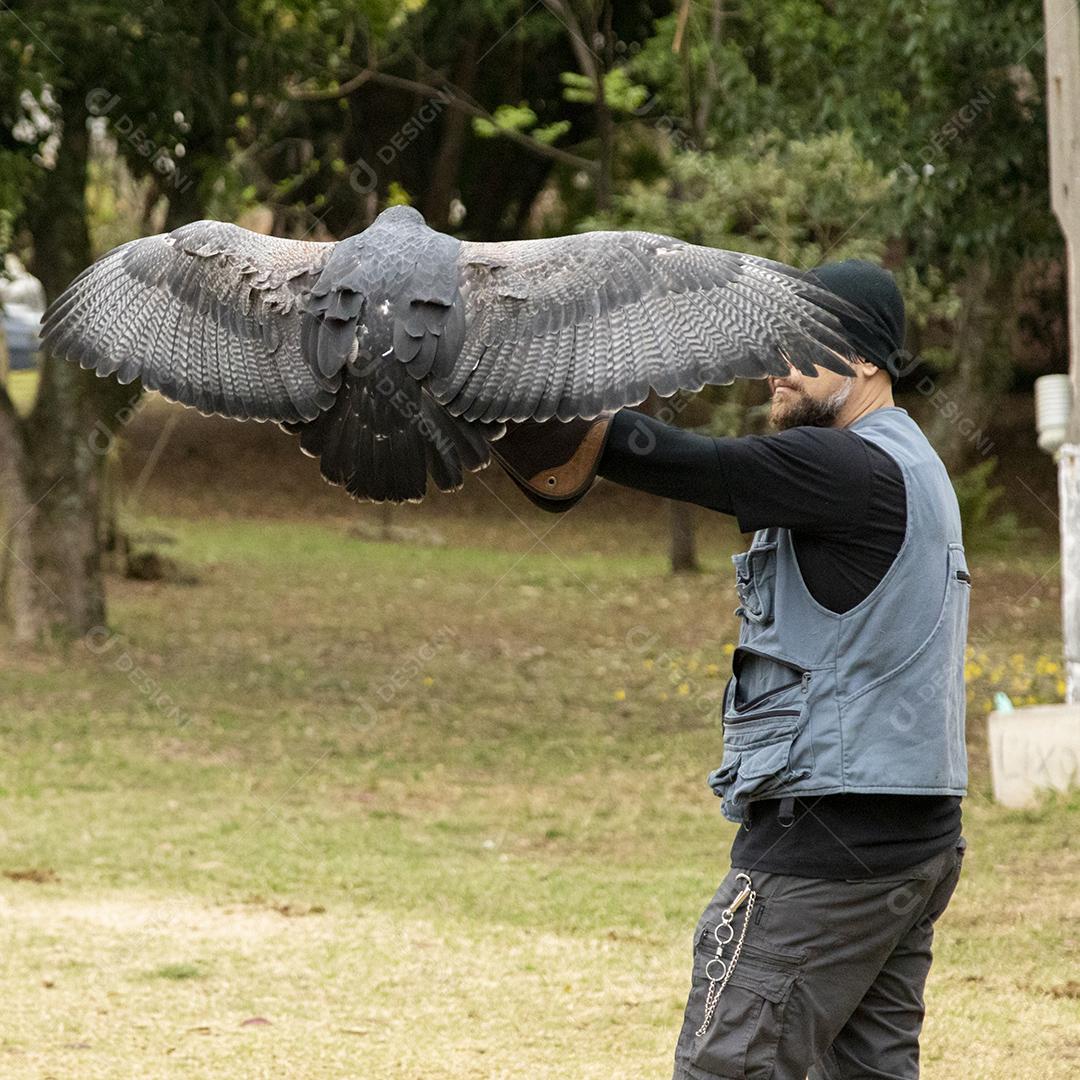 Pessoa segurando um gaviao passaro Imagem JPG