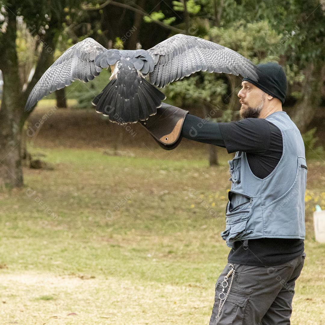 Pessoa segurando um gaviao passaro Imagem JPG