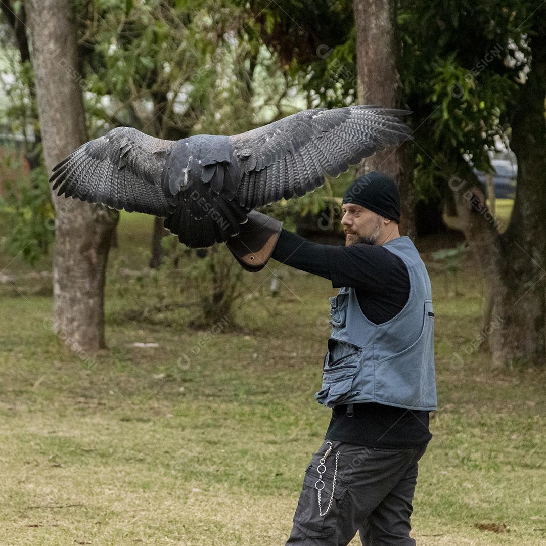 Pessoa segurando um gaviao passaro Imagem JPG