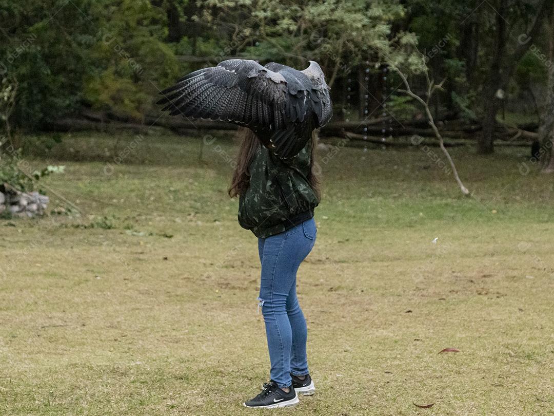 Pessoa segurando um gaviao passaro Imagem JPG