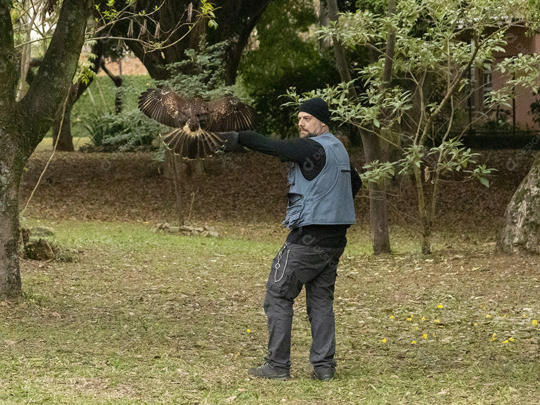 Pessoa segurando um gaviao passaro Imagem JPG