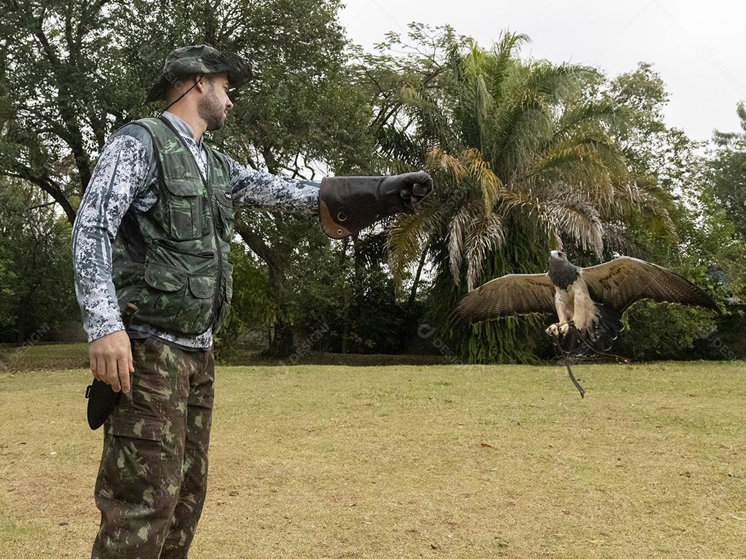 Teratornis aves passaro Imagem JPG