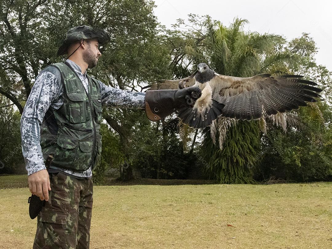 Teratornis aves passaro Imagem JPG