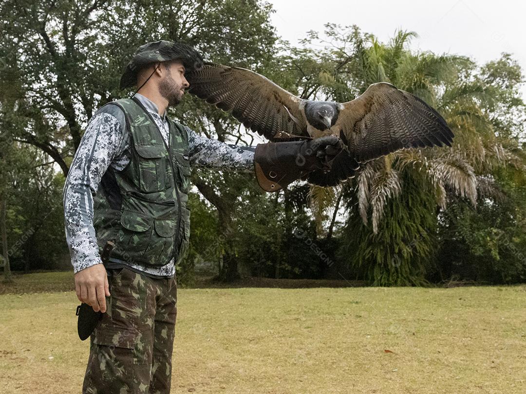 Teratornis aves passaro Imagem JPG