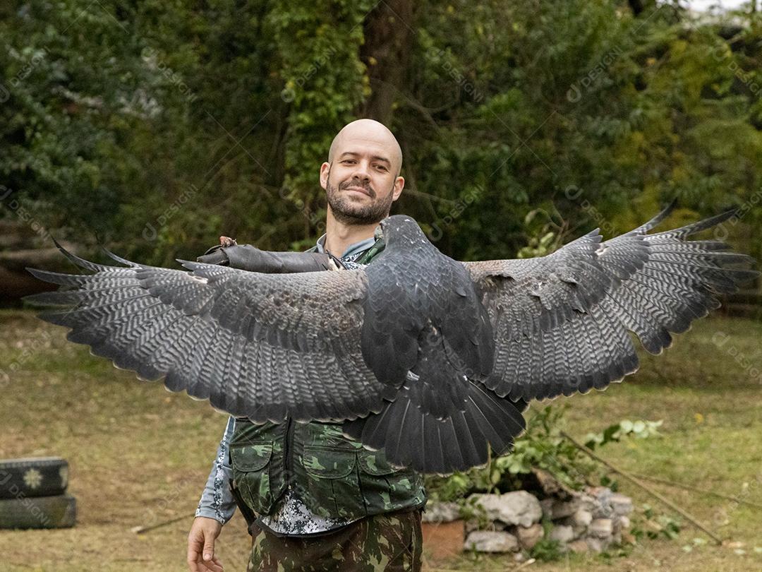 Geranoaetus melanoleucus passaro aves Imagem JPG