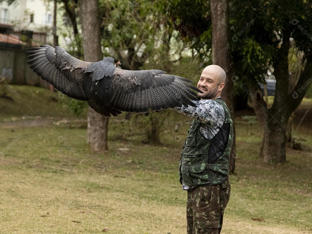 Geranoaetus melanoleucus passaro aves Imagem JPG