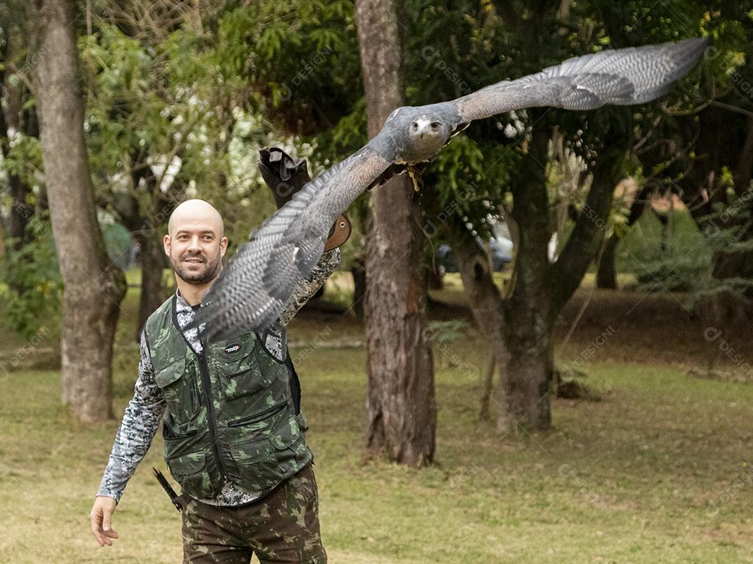 Geranoaetus melanoleucus passaro aves Imagem JPG