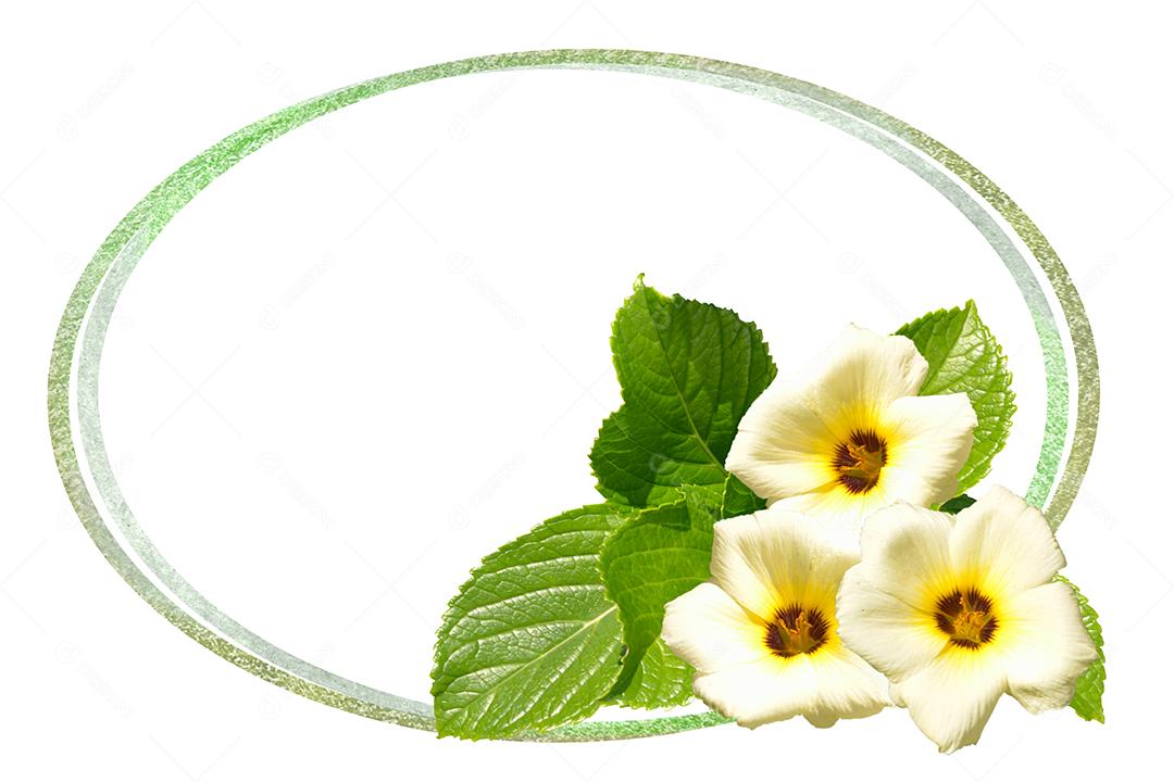 Flor arranjo com folhas e arcos em fundo branco