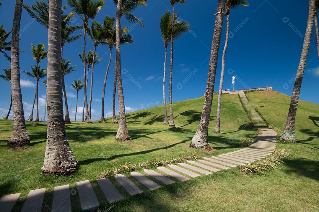 Foto Vista de Coqueiros no Morro do Cristo no Bairro da Barra Em Salvador Bahia Brasil