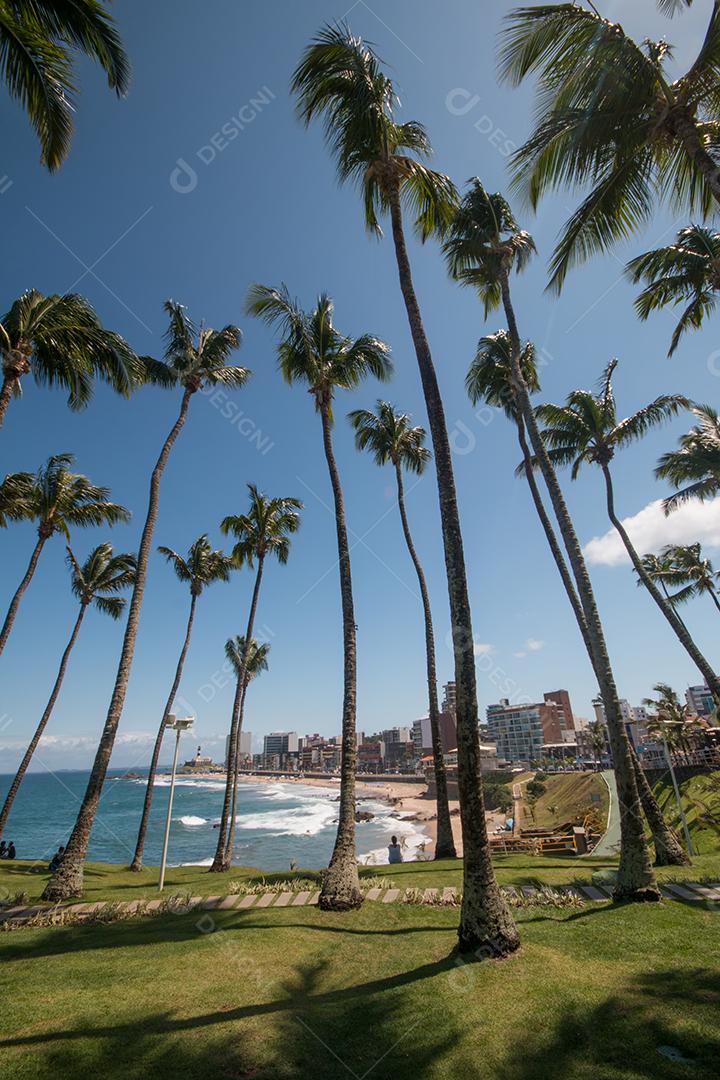 Vista da Praia de Barra Salvador Bahia Com o Farol da Barra Ao Fundo Imagem JPG