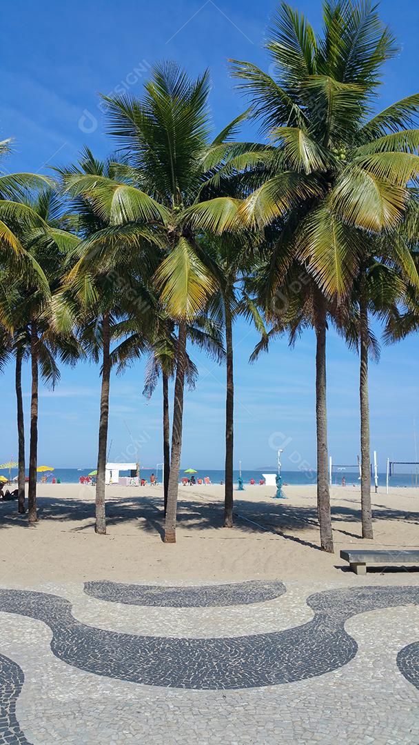 Foto Calçadão da Praia de Copacabana Rio de Janeiro Com Palmeiras e Céu Azul