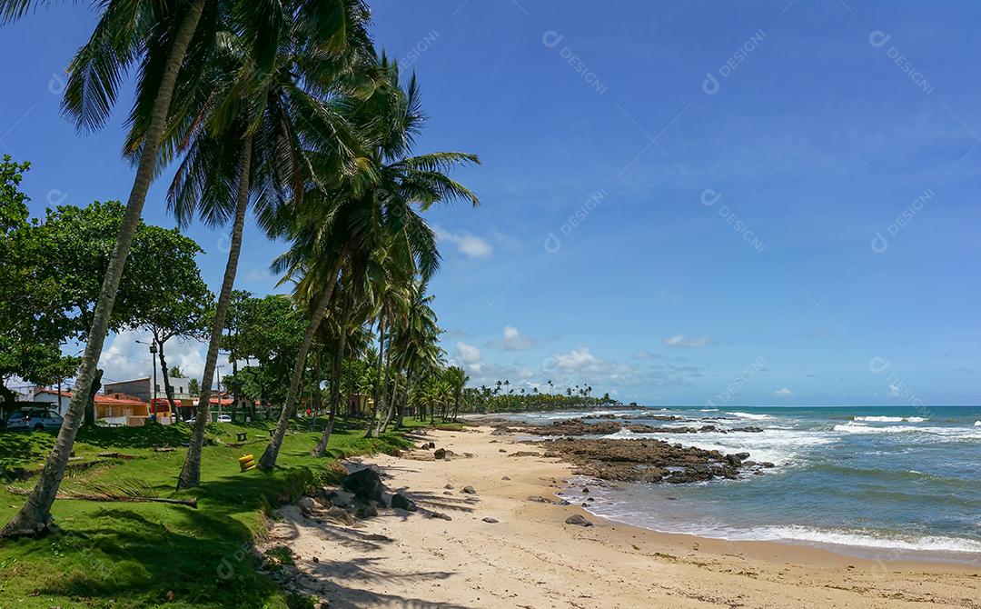 Paisagem da Praia de Olivença Em Ilhéus Bahia Brasil Imagem JPG