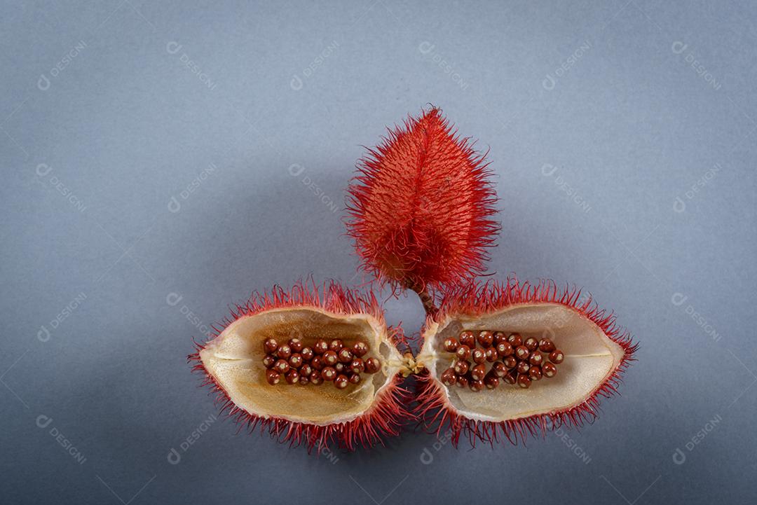 Urucum Suas Sementes São Usadas Como Corante Alimentar Natural Imagem JPG