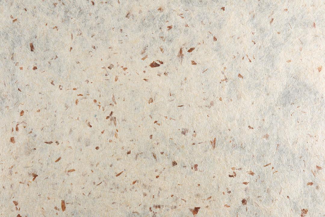 Textura de Papel Artesanal Reciclado Imagem JPG