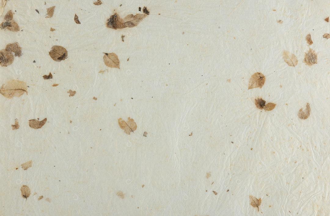 Textura de Papel de Folhas Secas Naturais Papel Artesanal Imagem JPG