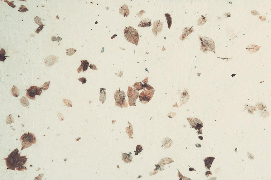 Textura de Papel de Folhas Secas Naturais Papel Artesanal Imagem JPG